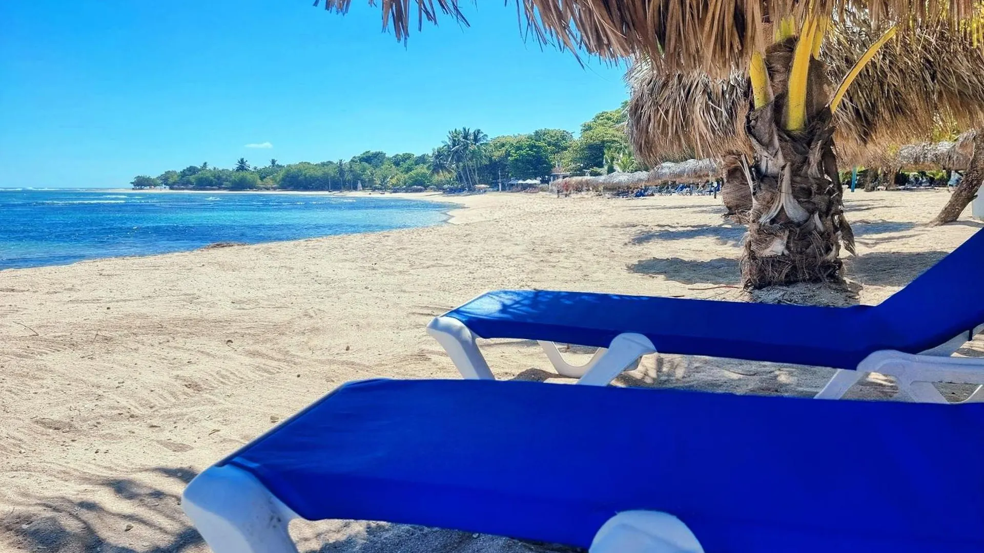 Costambar Beachfront Stay With Pool Пуэрто-Плата Доминиканская Республика
